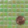 Spring-Pea-Green-Tint-1-E003IRI Glass Mosaic Tiles