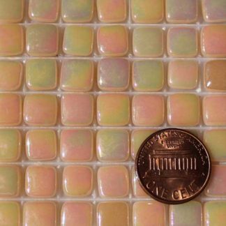 Salmon-Tint-1-E102IRI Glass Mosaic Tiles