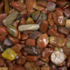 Petrified Wood polished gemstones