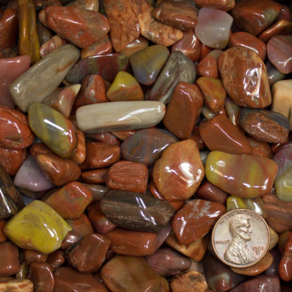 Petrified Wood polished gemstones