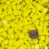 Lemon Yellow 3/8" (10mm) Vitreous Glass Tile