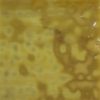 autumn gold ylaburnumb rg-1 mottled stained glass 6" sheets for use in mosaic art