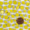 Anther Yellow H71P CHARMS TOP DOWN VIEW made from glazed ceramic for mosaic art