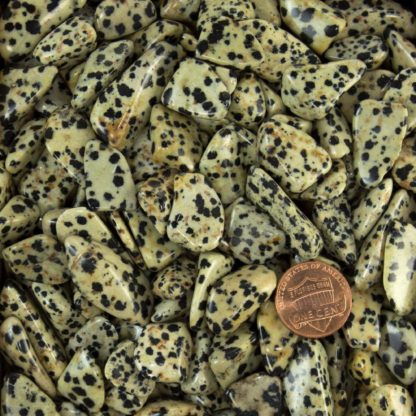 dalmation-stone polished gemstones for use as accents in mosaic art. healing