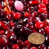 Red Assortment Small Glass Beads 2oz (60+)