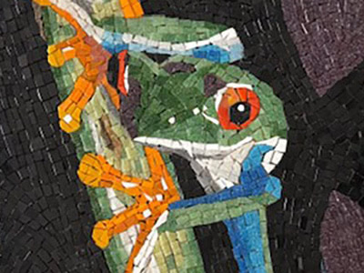 red eye tree frog glass mosaic art